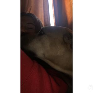 Meet your Posher, Marissa